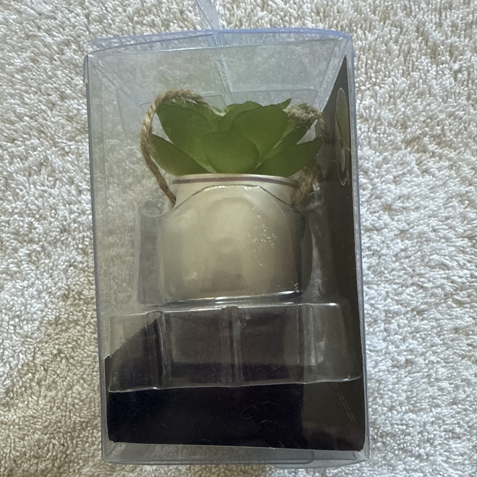 Mini Succulent Car Mirror Charm 7” Hang Length 2×3