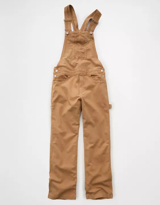 NWT AE Stretch Baggy Straight Overall