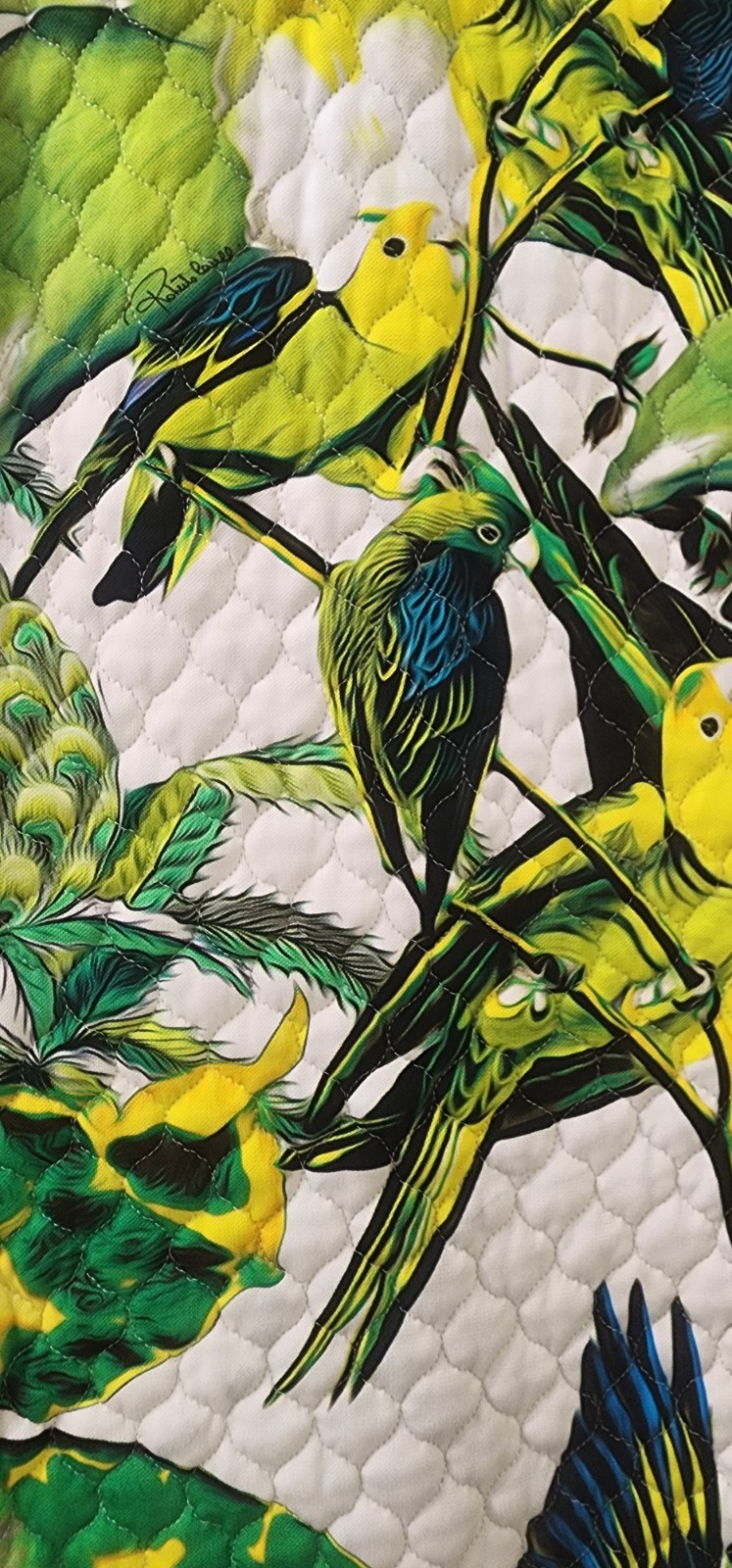 Roberto Cavalli Tropical Dress