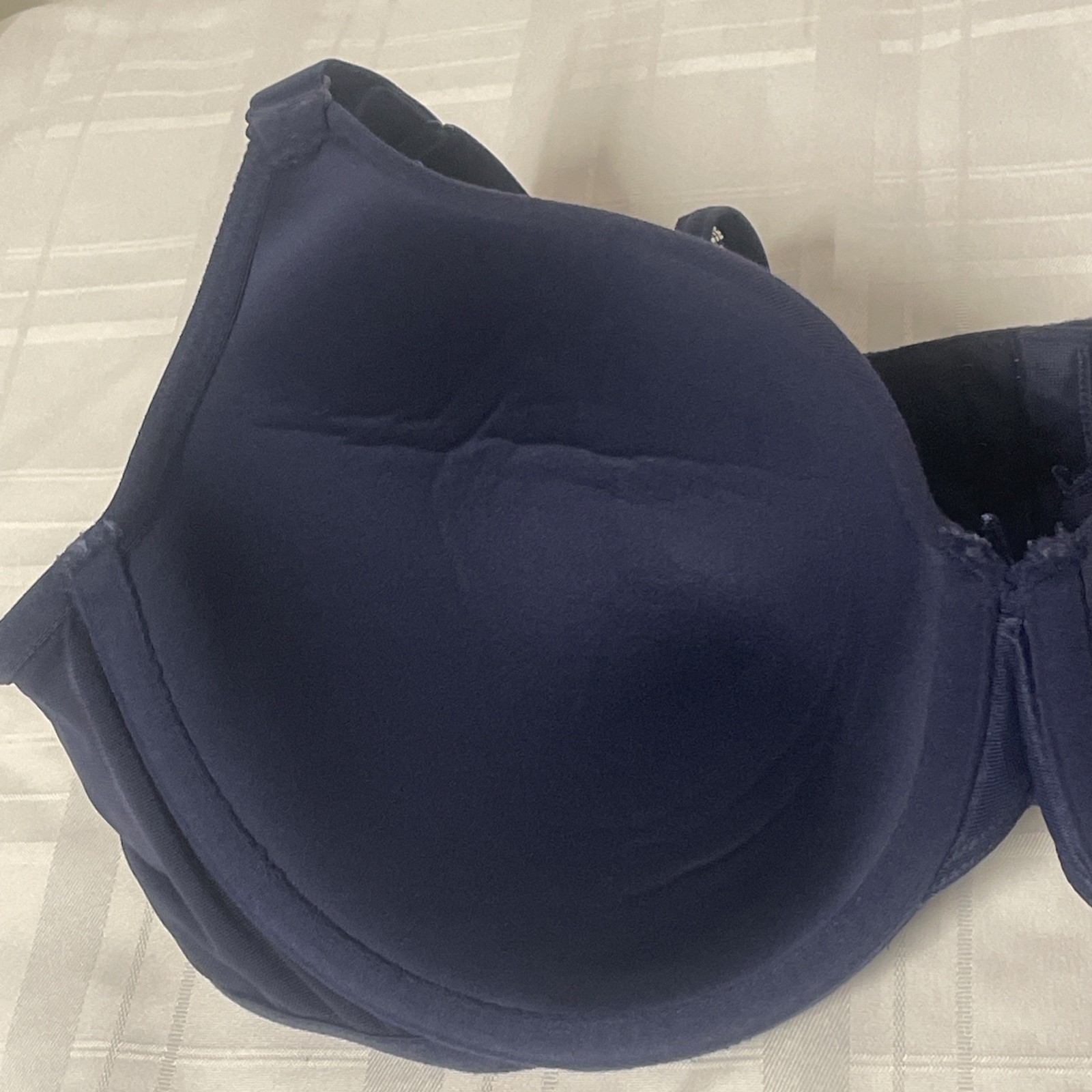 Cacique 98% Cotton Size 44C Full Coverage Stretch Lane Bryant Blue