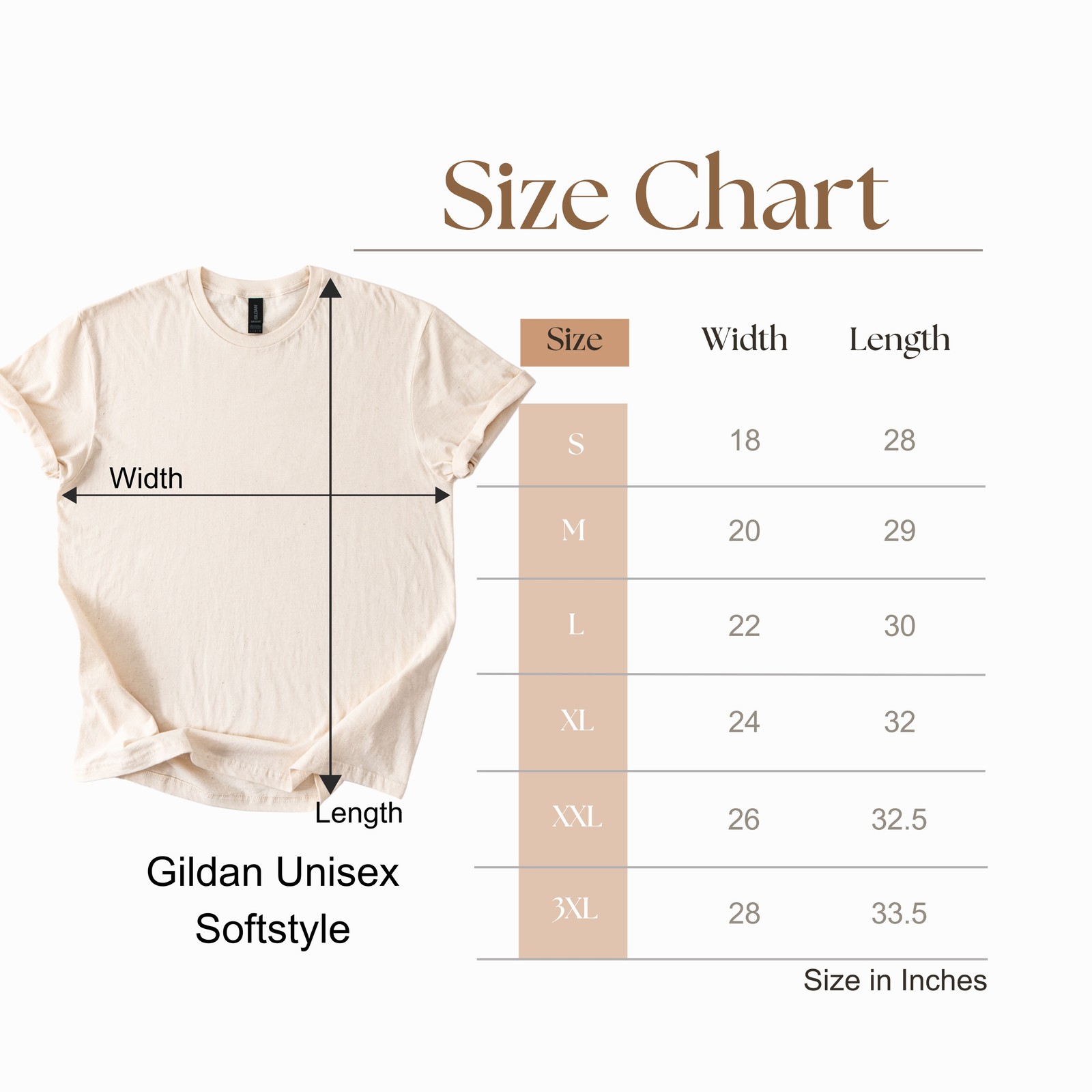 Tiger vs Dragon Ornate Graphic Tee East Asian Mythical Art