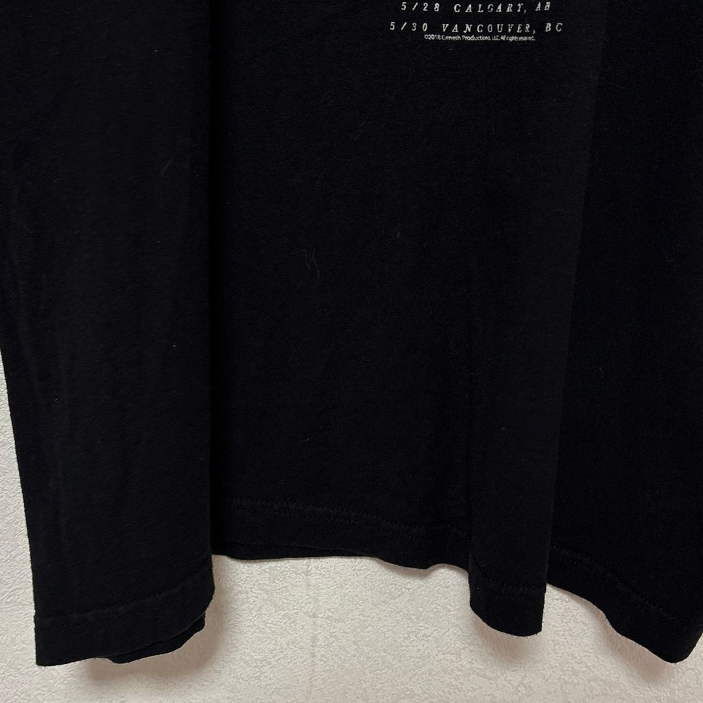 【Tultex】 Here We Go Again Tour Cher Tour Tee シェール 2019 ツアーTシャツ S-5705