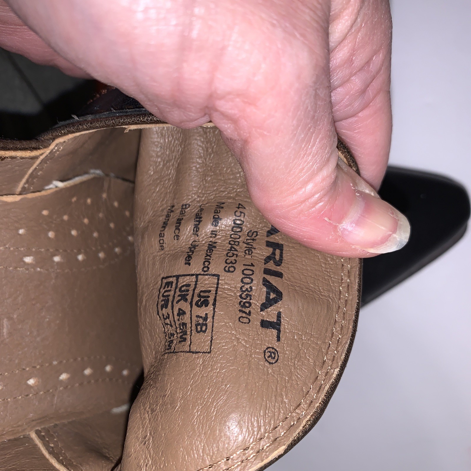 ariat encore booties