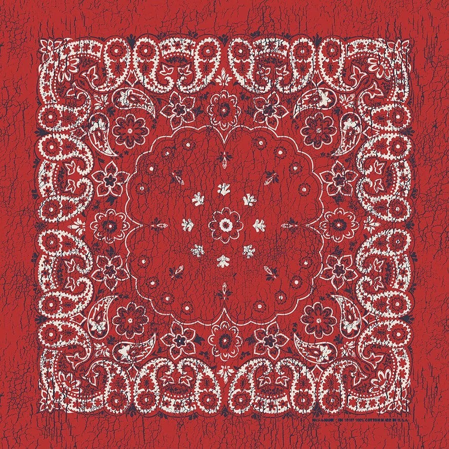 Carolina Creative Bandanna (Red/Indigo) Rustic Paisley 27″ x 27″