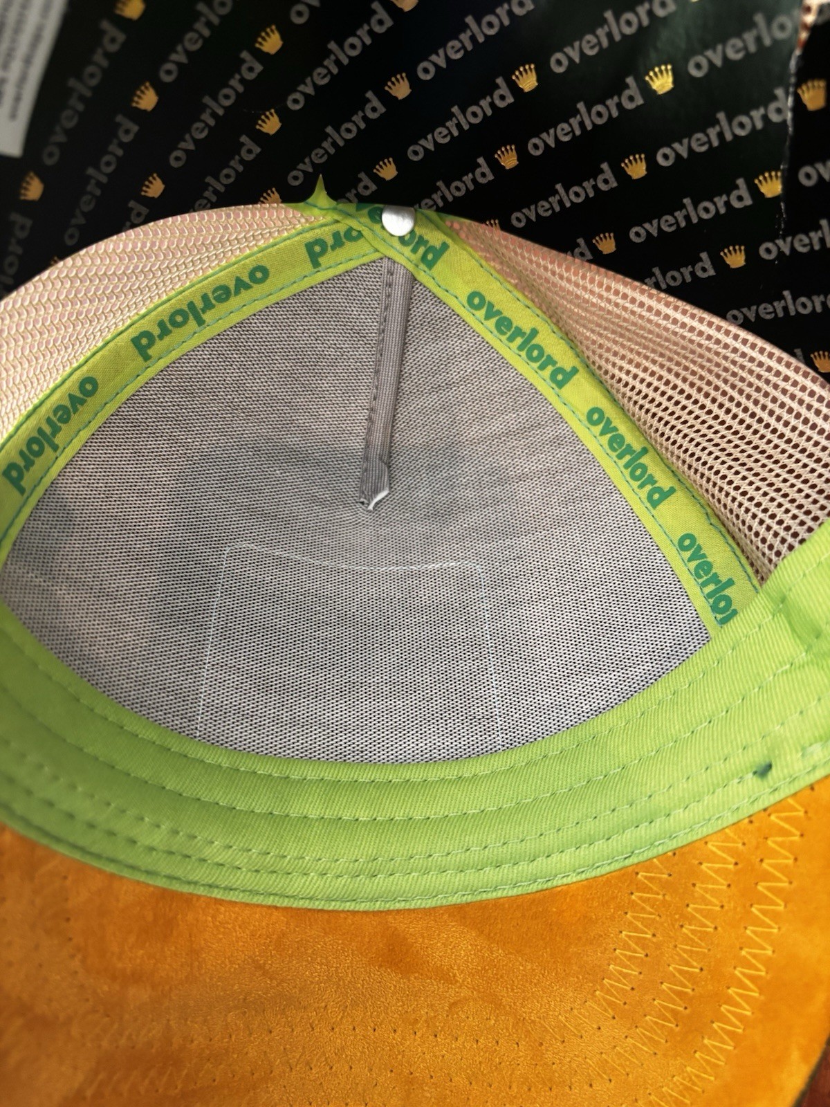 Teenage Mutant Ninja Turtles Leonardo Snapback Trucker Hat Green