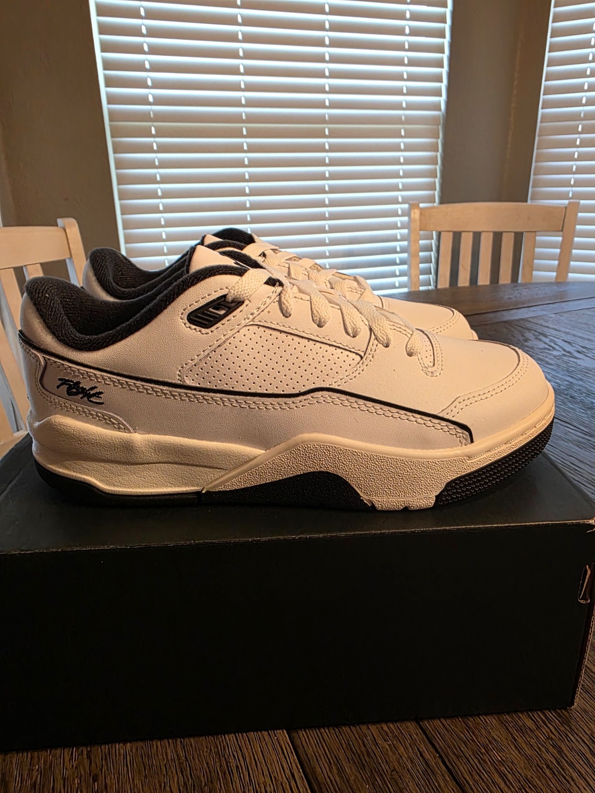 Jordan Flight Court GS 5Y
