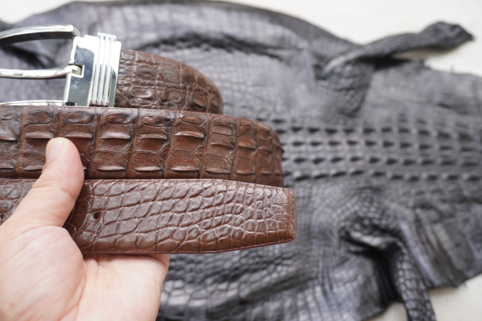 Brown Genuine CROCODILE Hornback LEATHER Skin Men’s Belt W 1.3 inch #M21