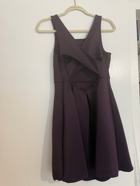 Express Purple Fit & Flare Cut-Out Scoop Neck Pleated Knee Dress Size 6