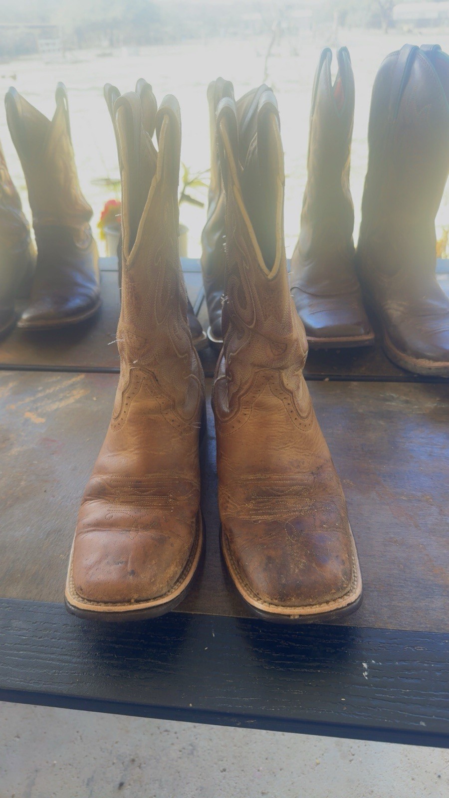 Ariat Women’s