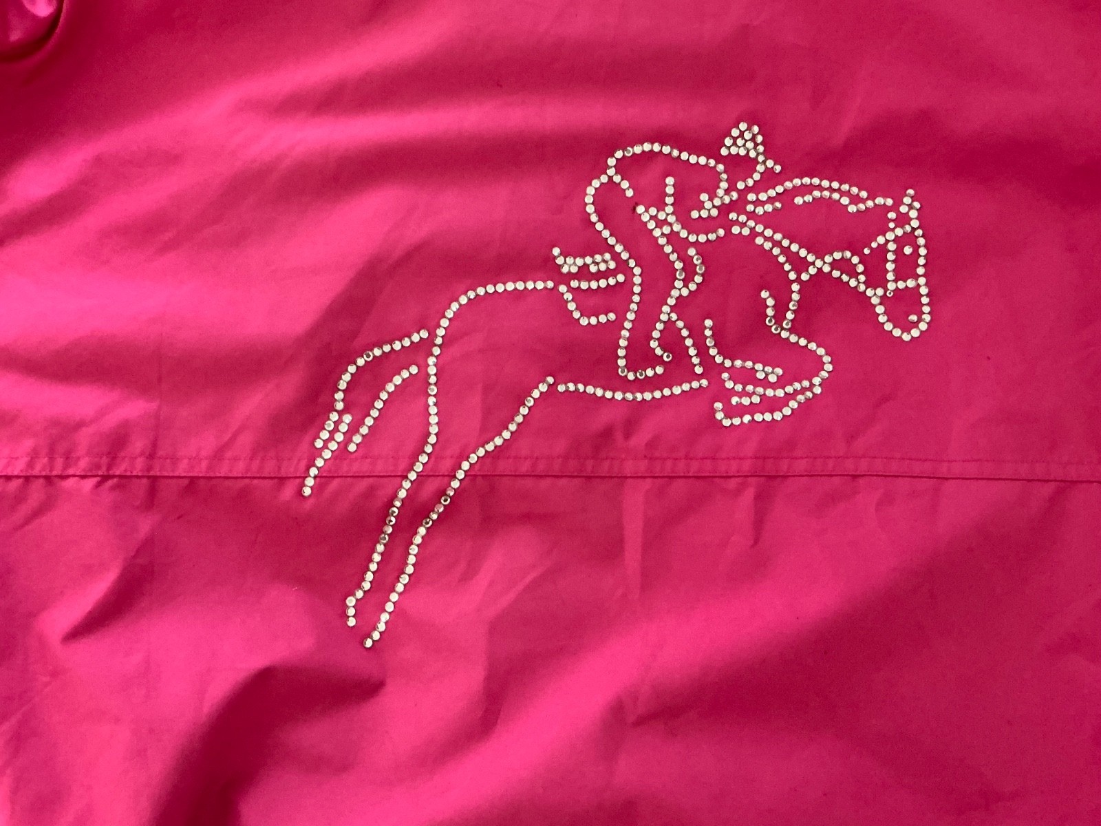 Pink BRONTË Jacket Sparkle Detail On Back and Front Full Length Front Zip