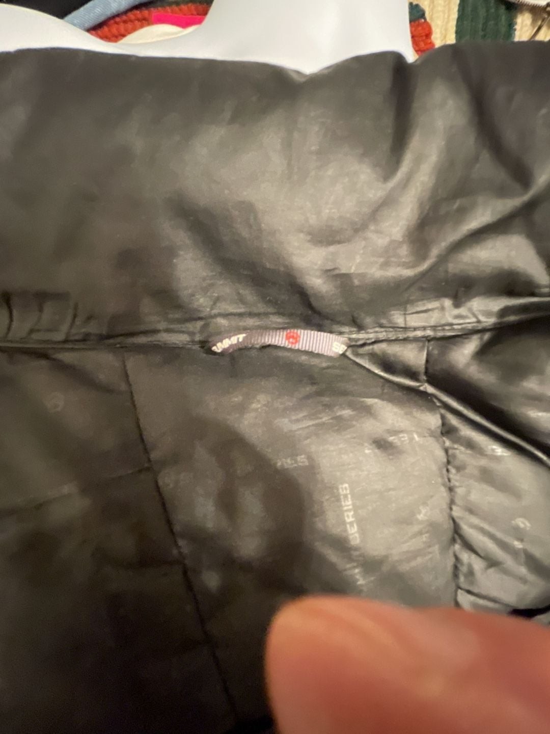 The North Face Summit Series 900 Super Diez Down Puffer Jacket