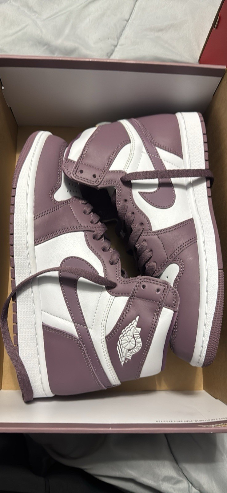 Jordan Air Jordan 1 Retro High OG Mauve/White 2023 DZ5485-105 Leather