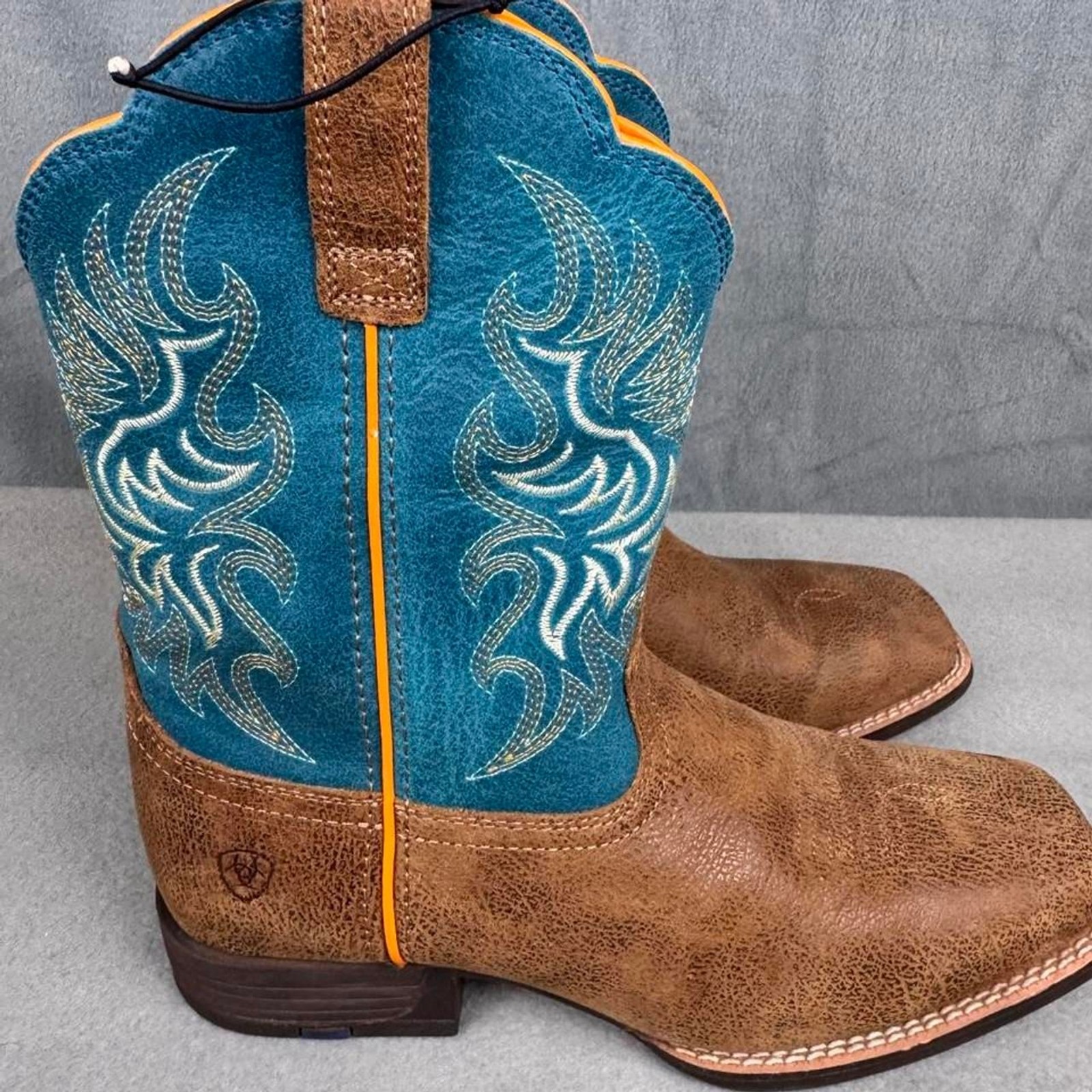 Ariat multi Boots