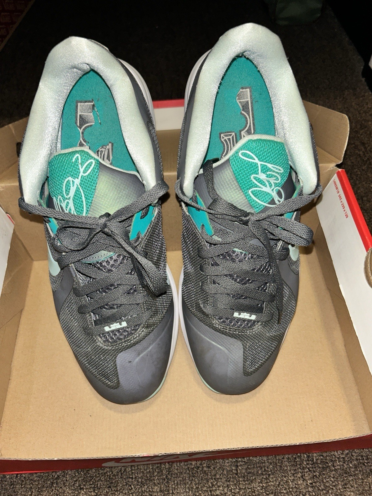 Nike LeBron 9 IX Low Easter Dark Grey/Mint/Candy/Cool Grey Men’s Size 12