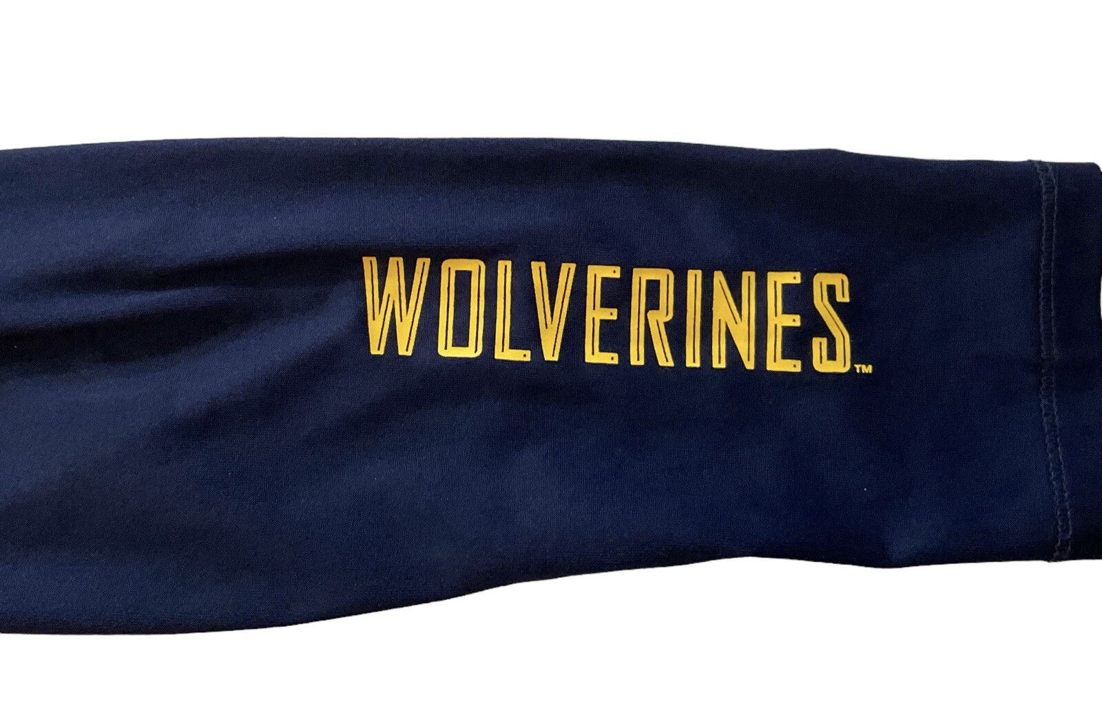 MICHIGAN WOLVERINES Rivalry Threads 91 Spell Out Full Zip Pullover Womens Large