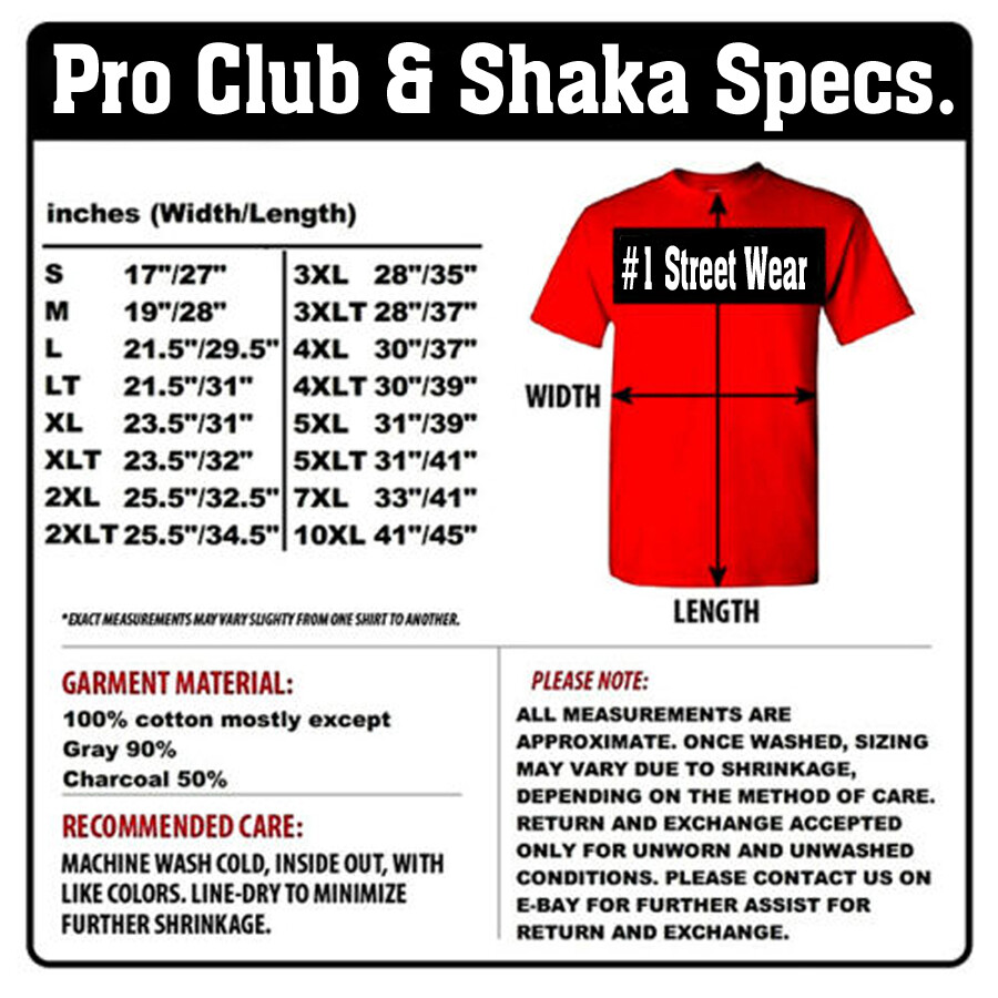 Secure the Bag Graphic Sneaker Tee Shirt Match J10 Duck Camo Pro Club Shaka T
