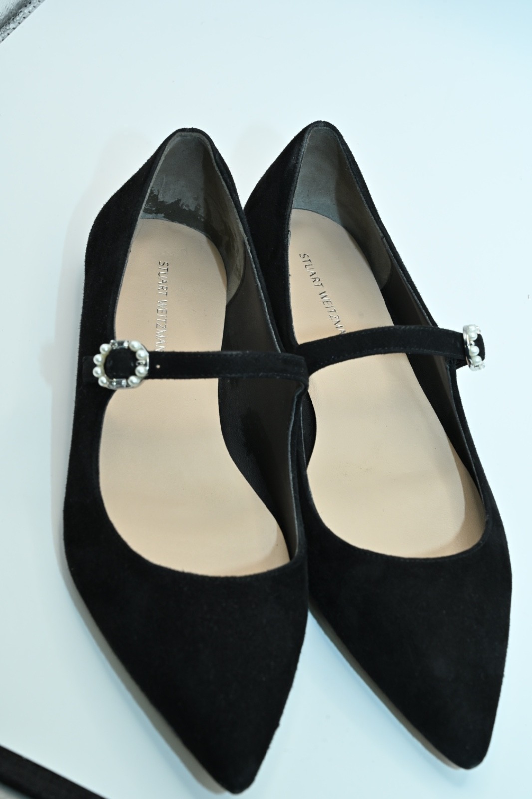 Stuart Weitzman Suede Flat, Gently used. Good Condition