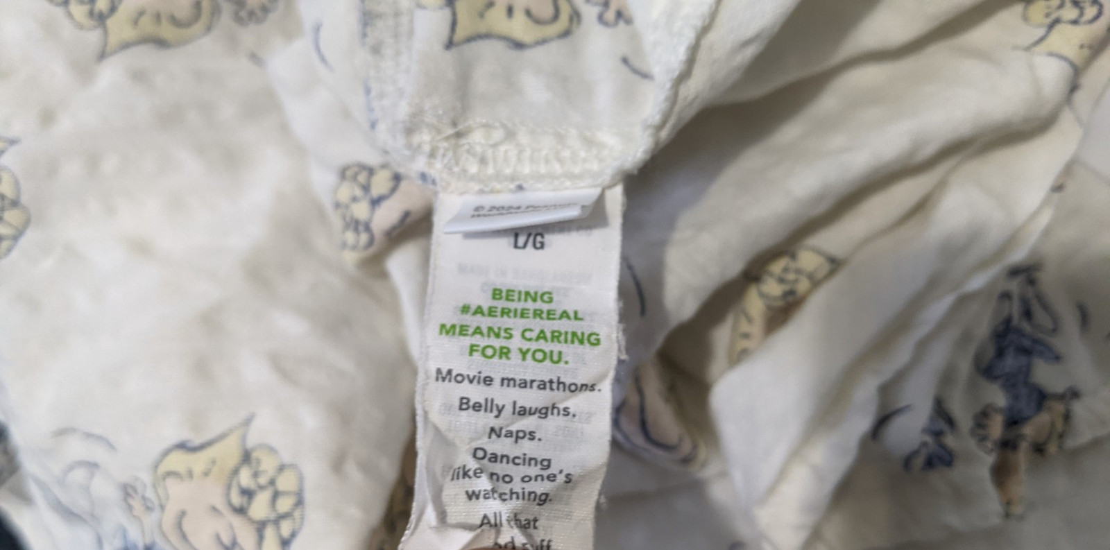 AERIE PEANUTS Sally Brown Seersucker Button Front Shirt Sz L Cotton Blend Muslin