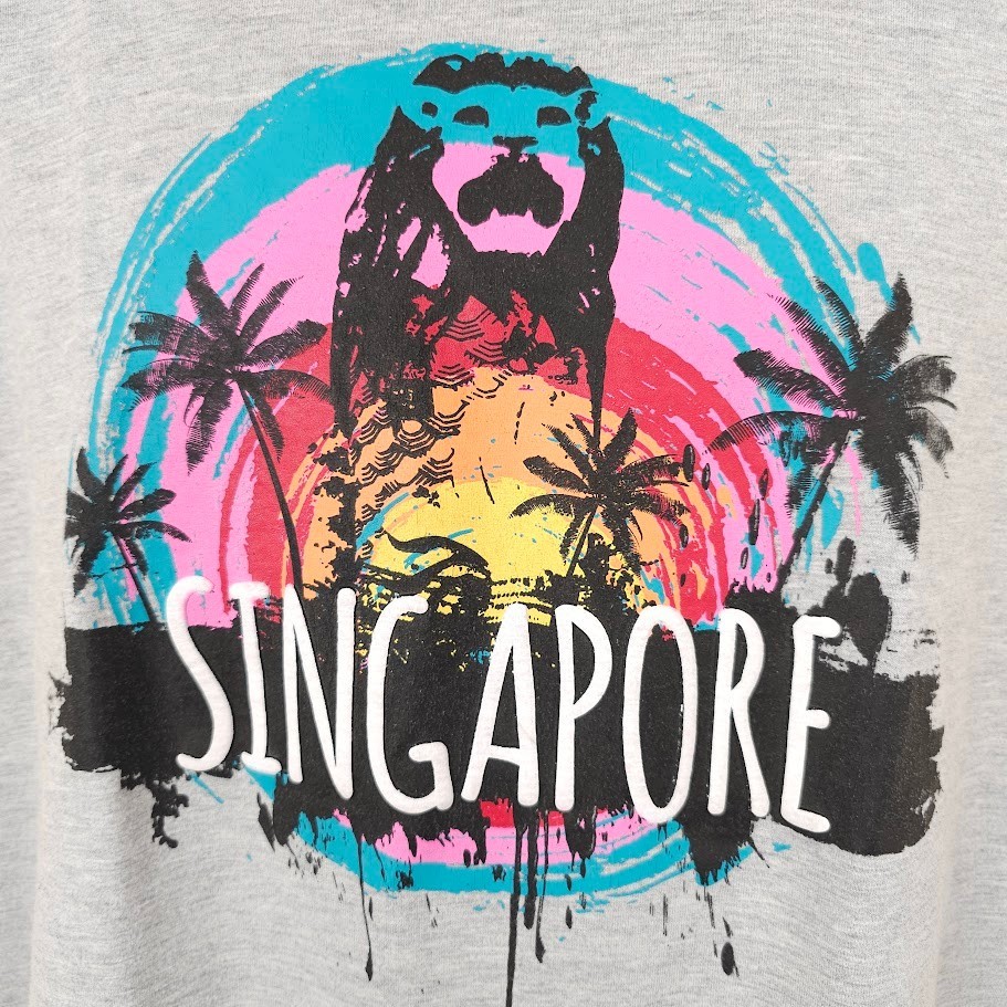 Singapore T Shirt Mens Size Large Gray Travel Destination Tee
