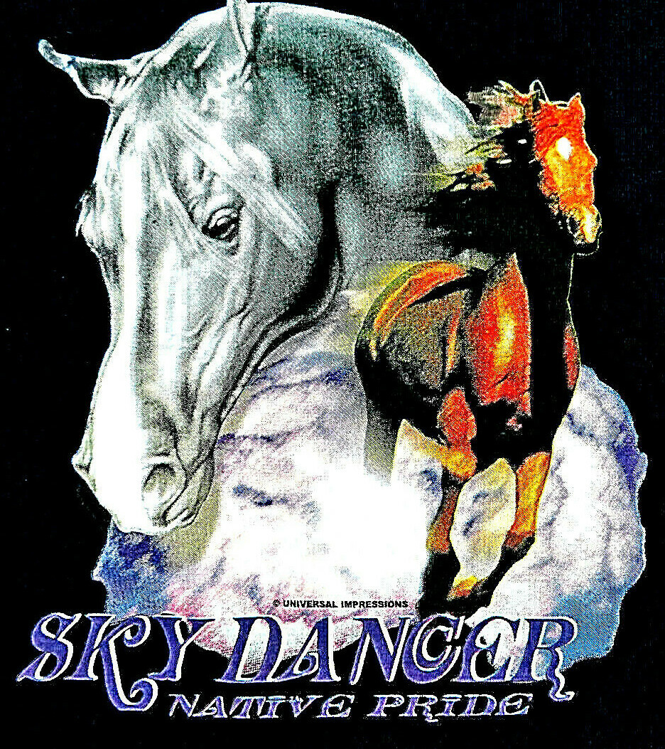 Sky Dancer Native Pride Horses, Graphite Men’s T-Shirt Size M.