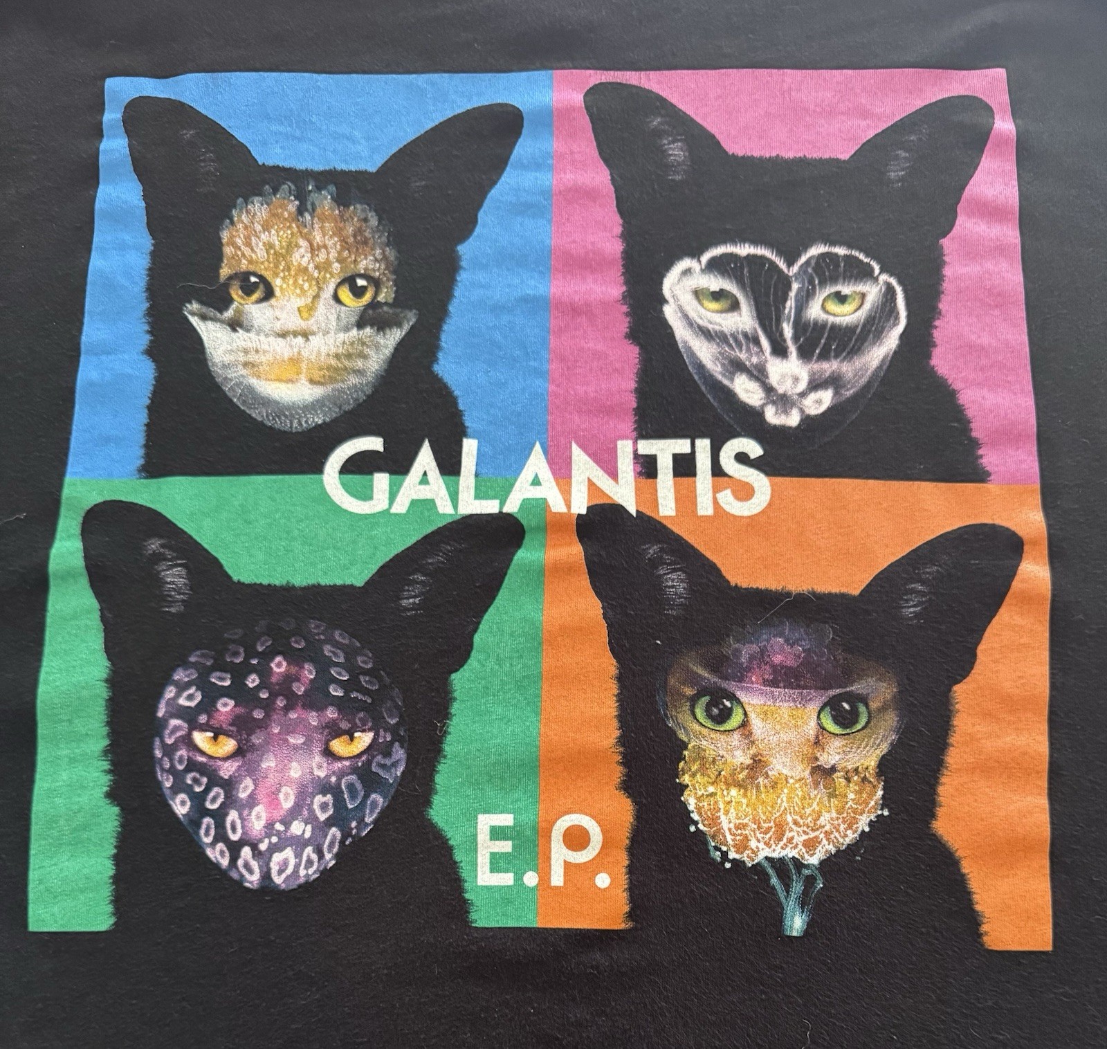 Bella+Canvas Galantis E.P. Cat Graphic T-Shirt Black XL Crew Neck Short Sleeve