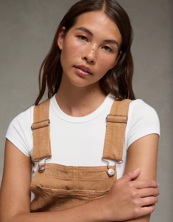 NWT AE Stretch Baggy Straight Overall