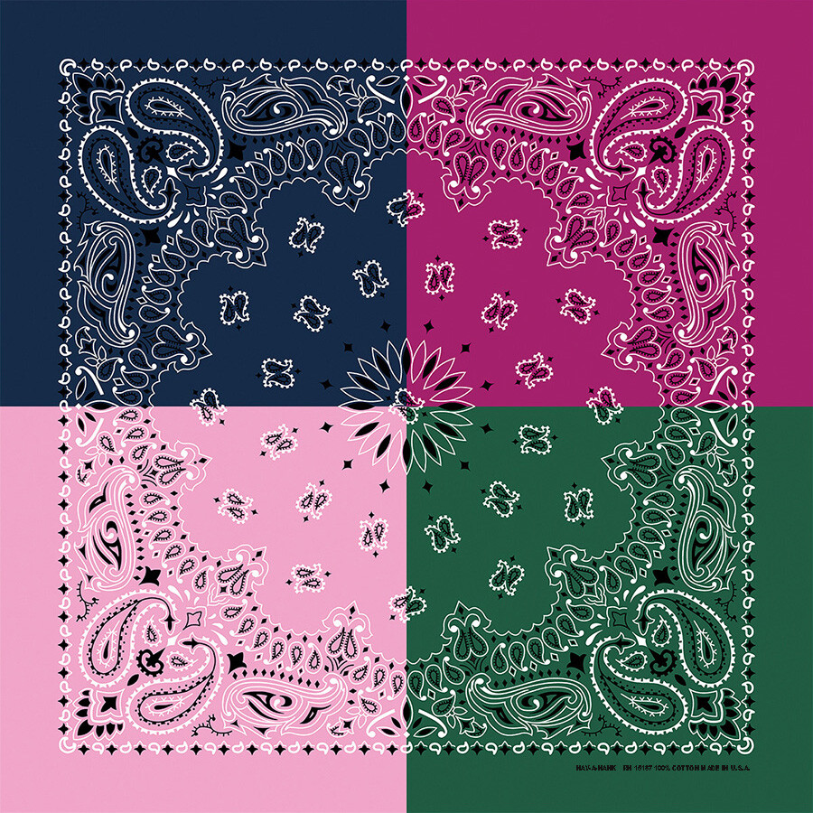 Carolina Creative Quad 4-Color Bandanna (Spring) Paisley 22″ x 22″ Hav-A-Hank