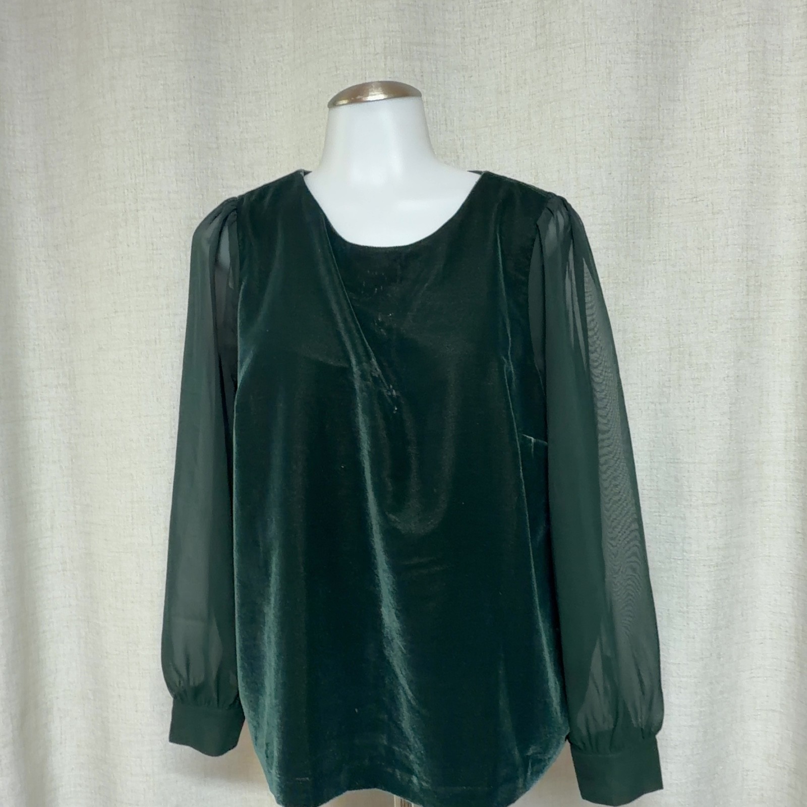 J.CREW Green Velvet Sheer Sleeve Blouse Shirt Top Holiday Party S