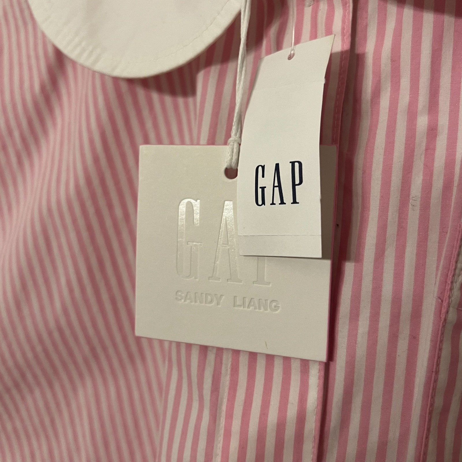 NWT Gap x Sandy Liang Poplin Oversized Shirt Sz SMALL Pink Stripe Cotton