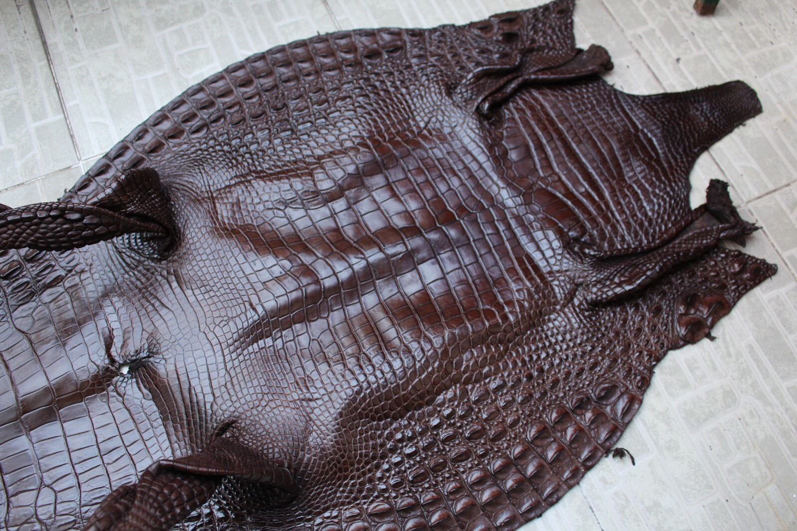 Dark Brown Genuine Crocodile Belly Leather Skin Men’s Belt W 1.3 inch #S18