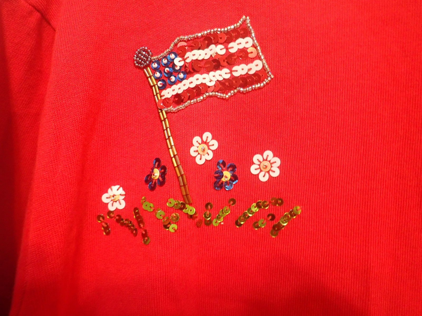 Quacker Factory Size 1X July 4th Patriotic Flag Bike Clouds Top 3/4 Sleeve