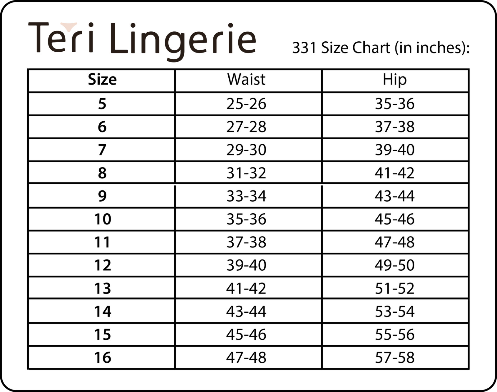 Women’s Classic, Nylon, Brief Panty (Stye 331) 4 Pack by Teri Lingerie