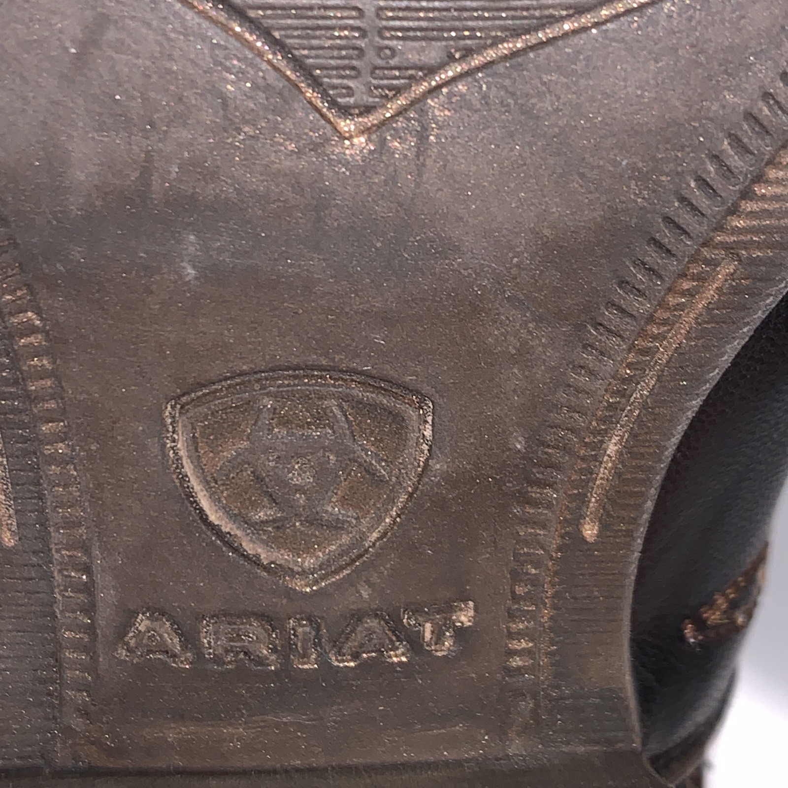 ariat encore booties
