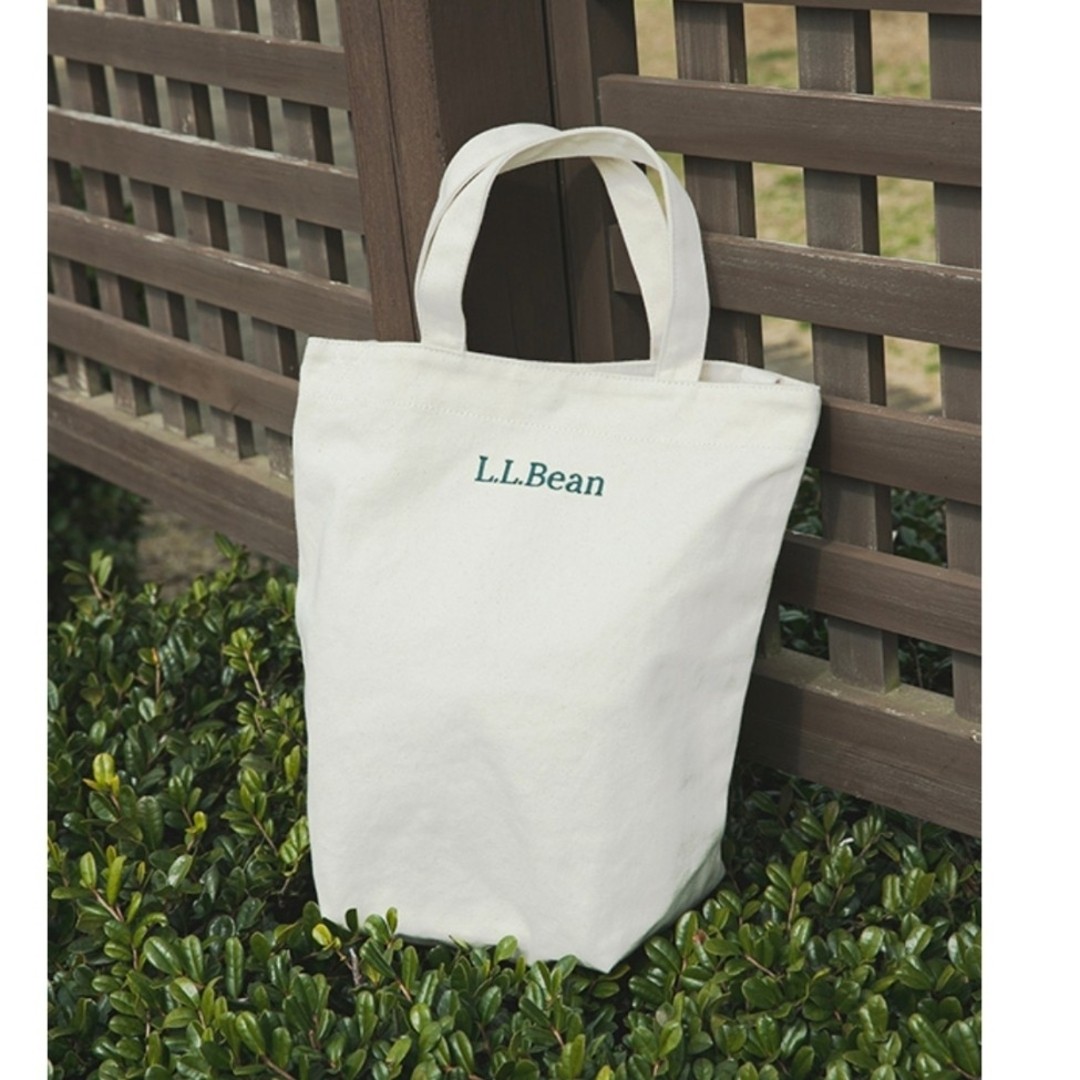 L.L.Bean Doors Shoulder Strap Tote M A4 Capacity Limited Edition Used