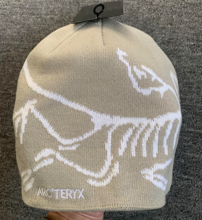 Arc’teryx Bird Head Toque Beanie – Ash Gray – Wool Ski Winter Hat – NWT