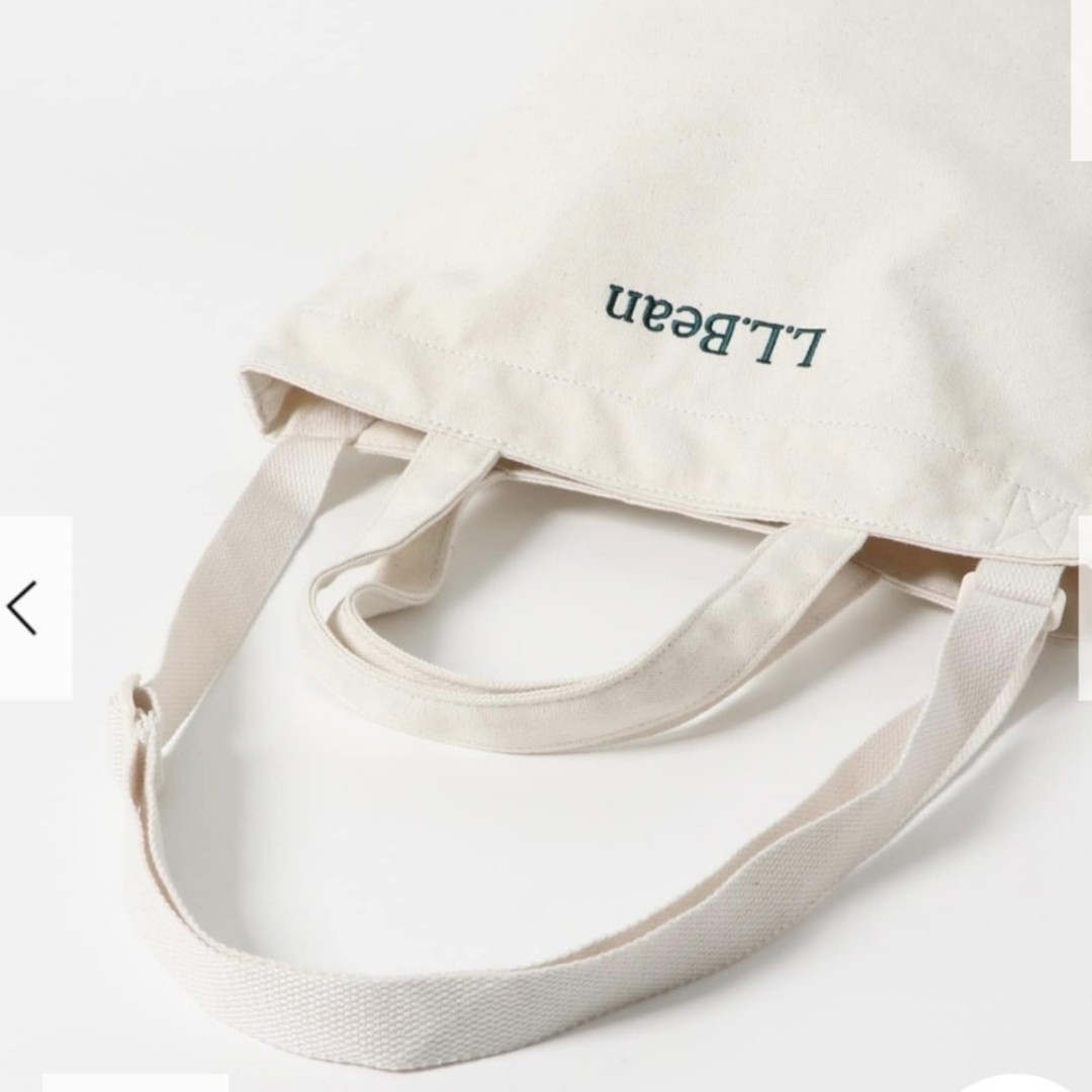 L.L.Bean Doors Shoulder Strap Tote M A4 Capacity Limited Edition Used