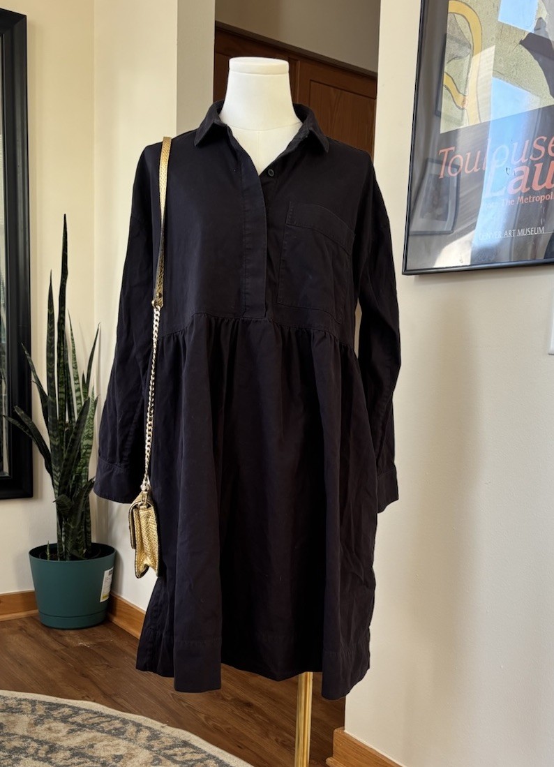 Everlane Black Cotton Poplin Babydoll Mini Dress Womens Small Oversized