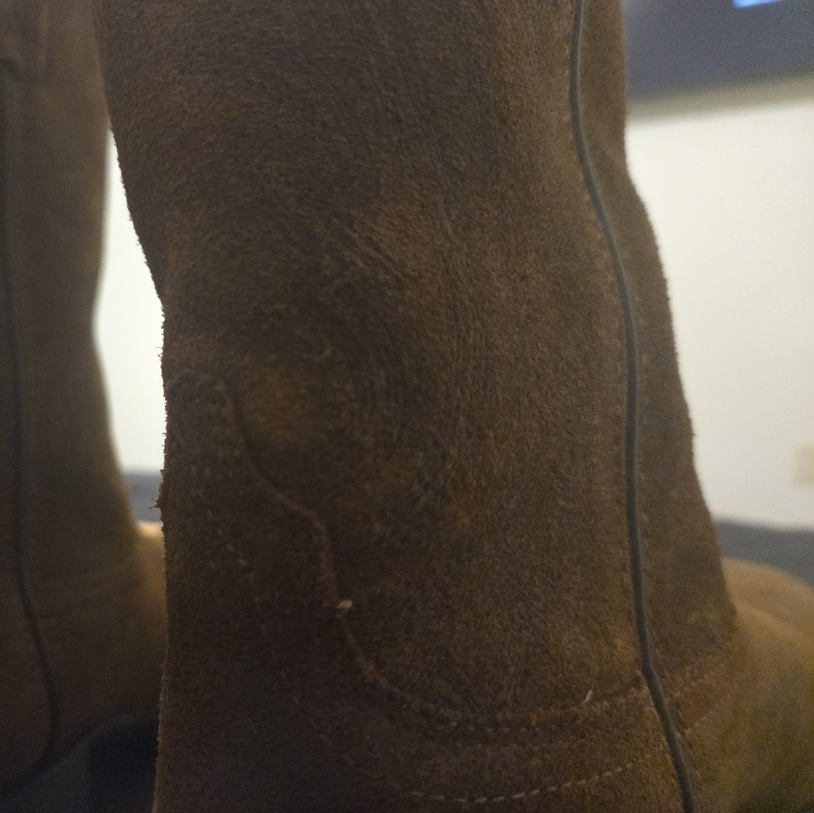 Ariat Boots