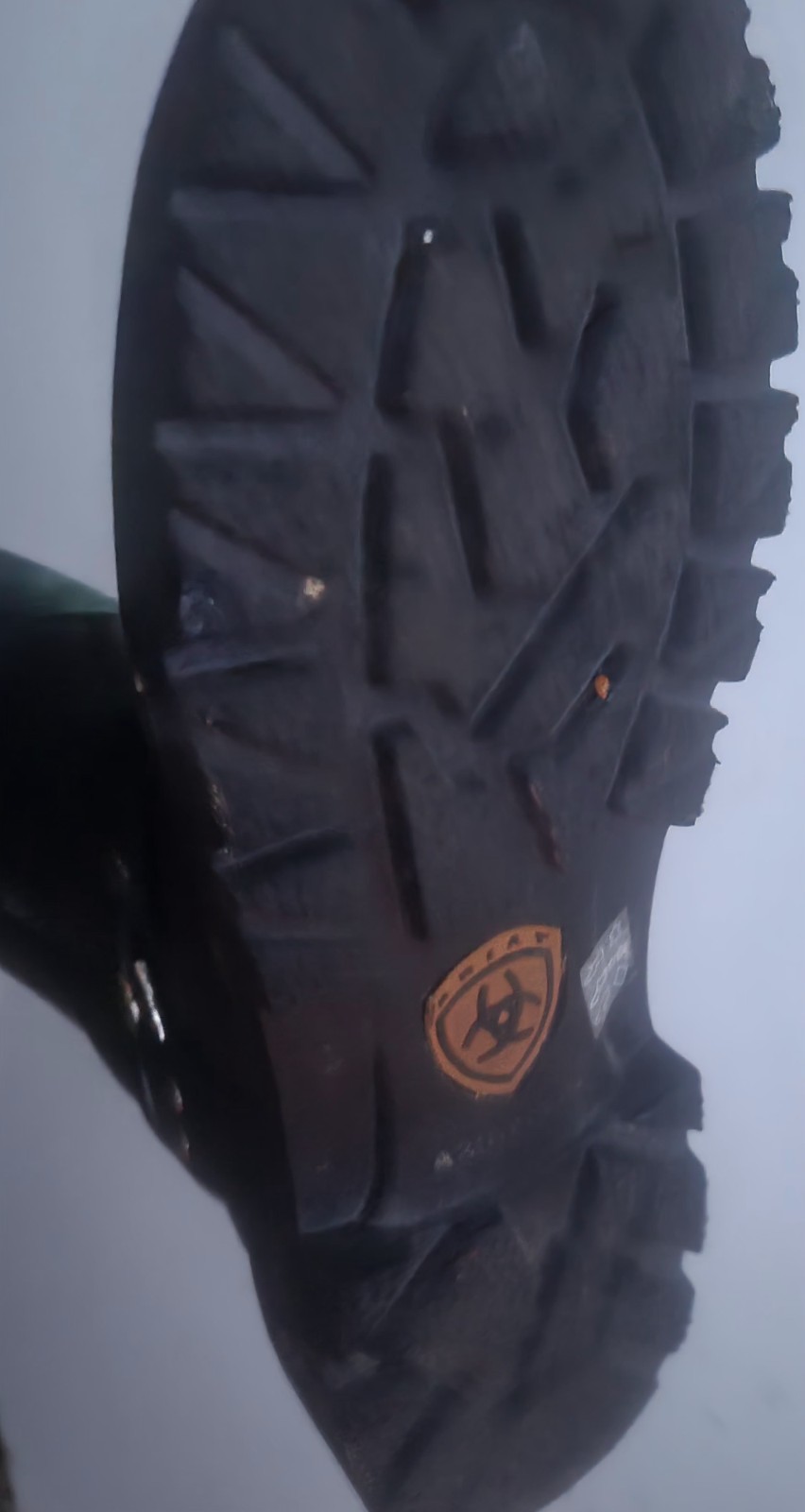 Ariat Boots 6B