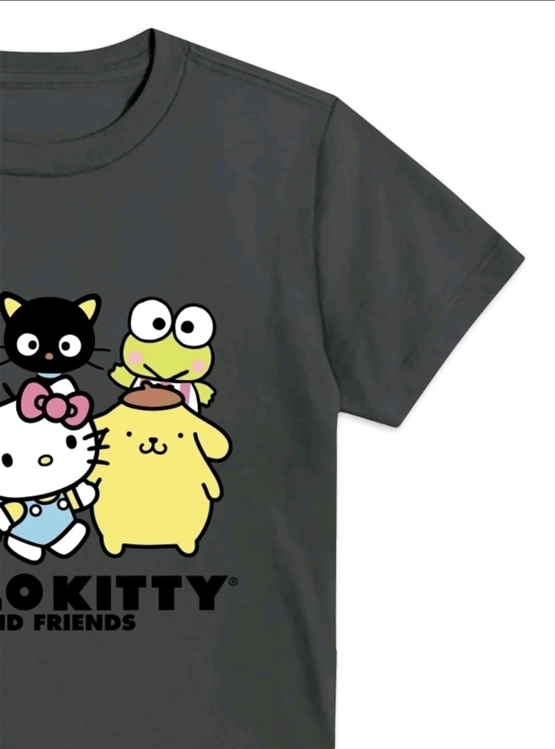 Sanrio Hello Kitty Boys Classic Graphic T-shirt- Gray☆Choose A Size XS,S,M&2XL