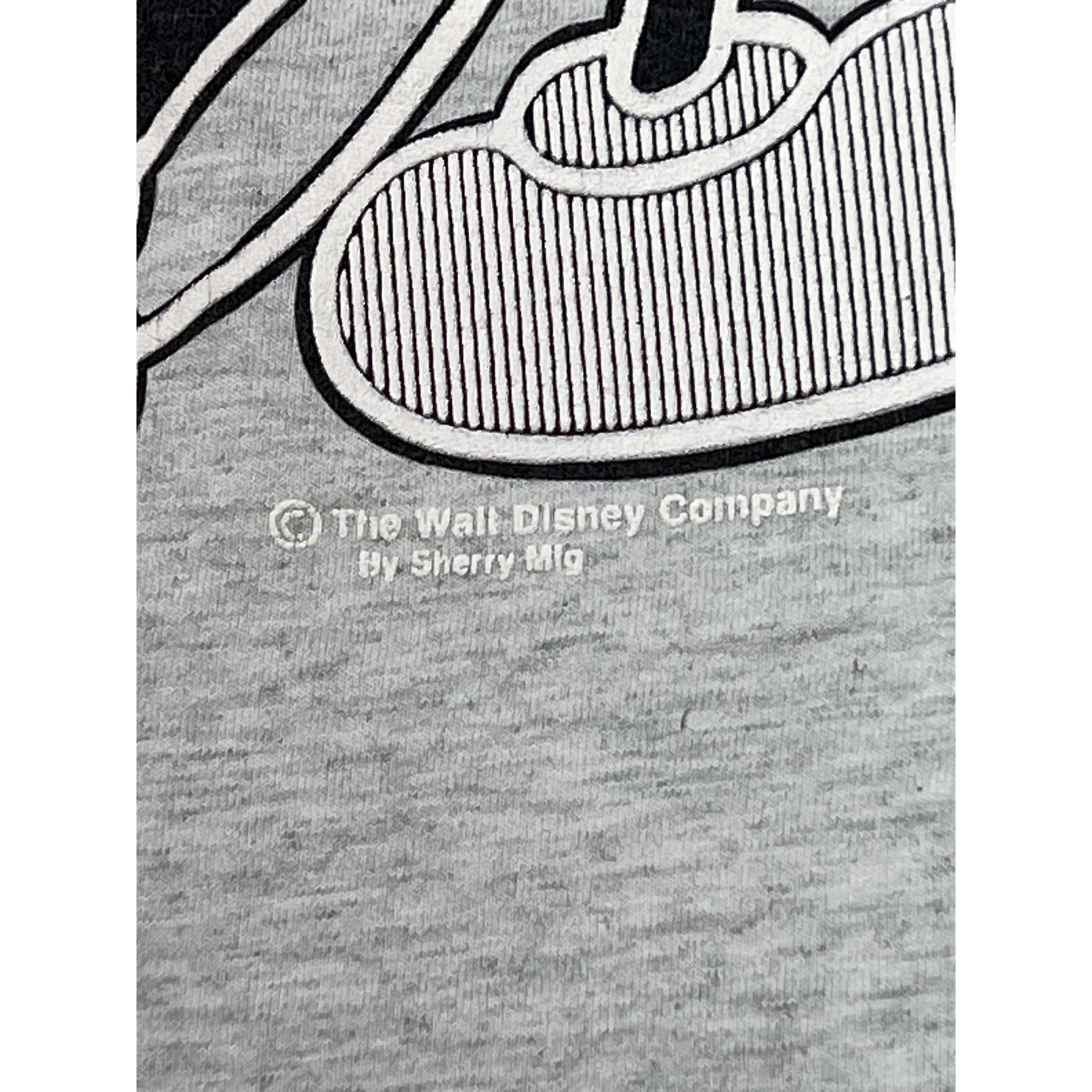 Screen Stars Best Mickey Mouse Florida Graphic T Shirt Sz L Gray Sherry’s best