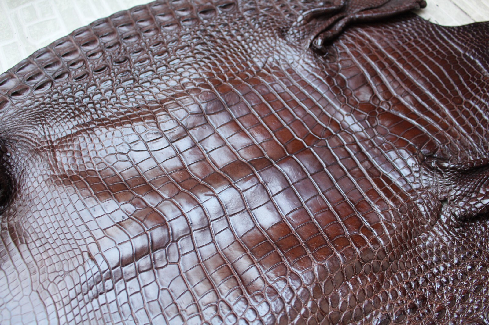 Dark Brown Genuine Crocodile Belly Leather Skin Men’s Belt W 1.3 inch #S18