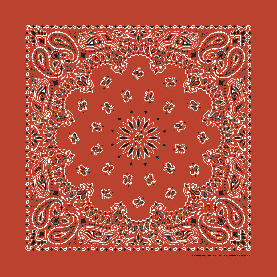 Carolina Creative Bandanna (Terracotta) Paisley Print 22″ x 22″ Hav-A-Hank