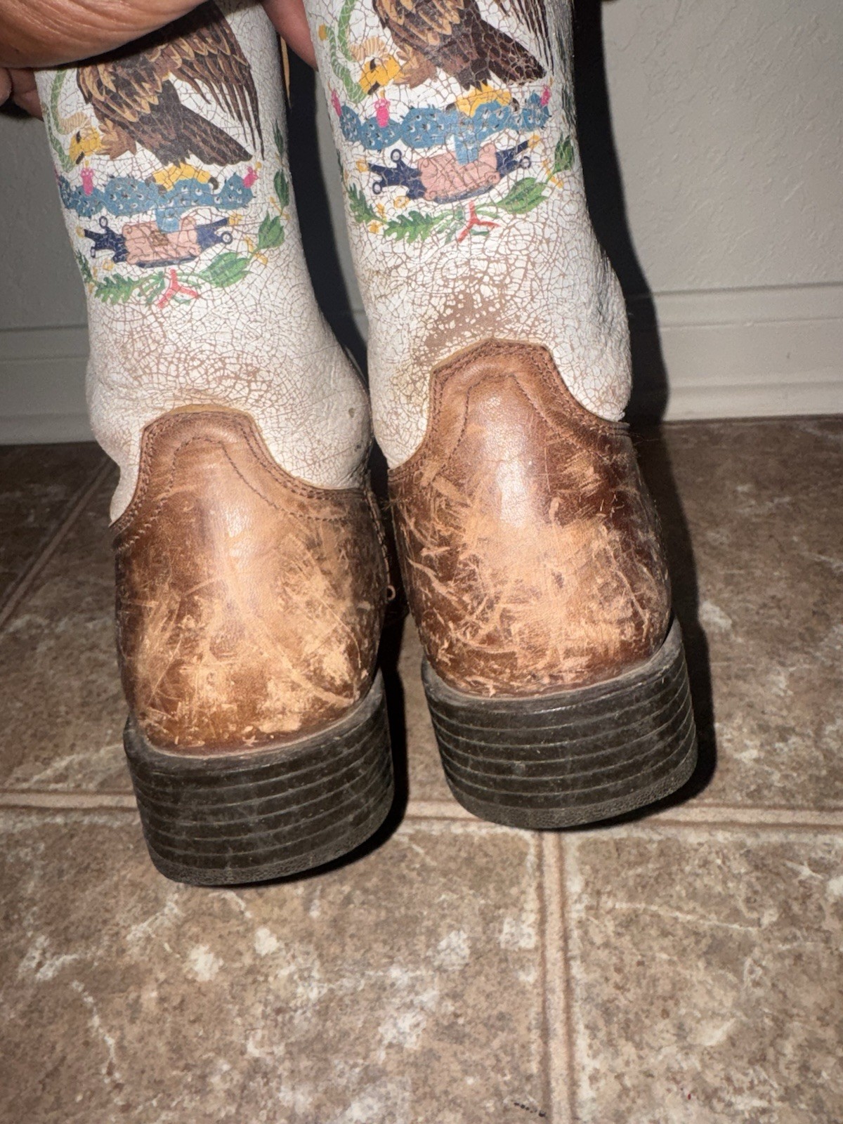 Ariat Sport Orgullo Mexicano Chocolate Coastal Cream Men’s 8.5 D 10038385 Lovely