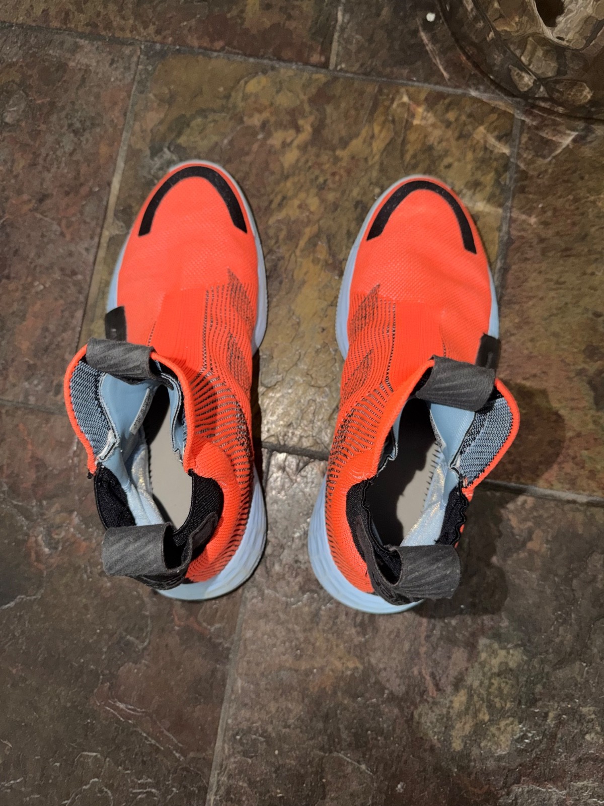 Size 9 – adidas N3XT L3V3L Hi-Res Coral