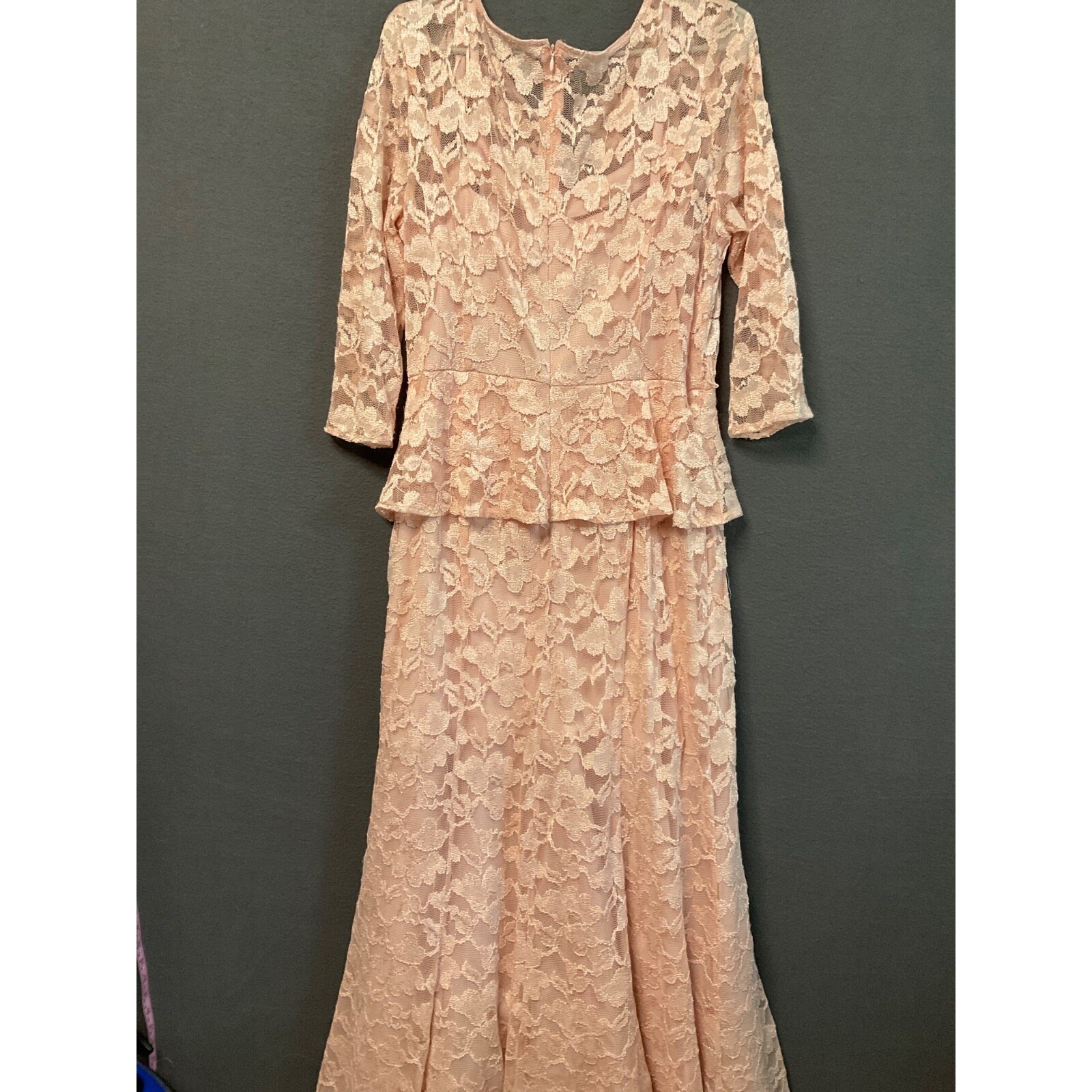 Chetta B Pink Floral Lace Maxi Dress Womens Size 12 Lined Formal Gown No Belt