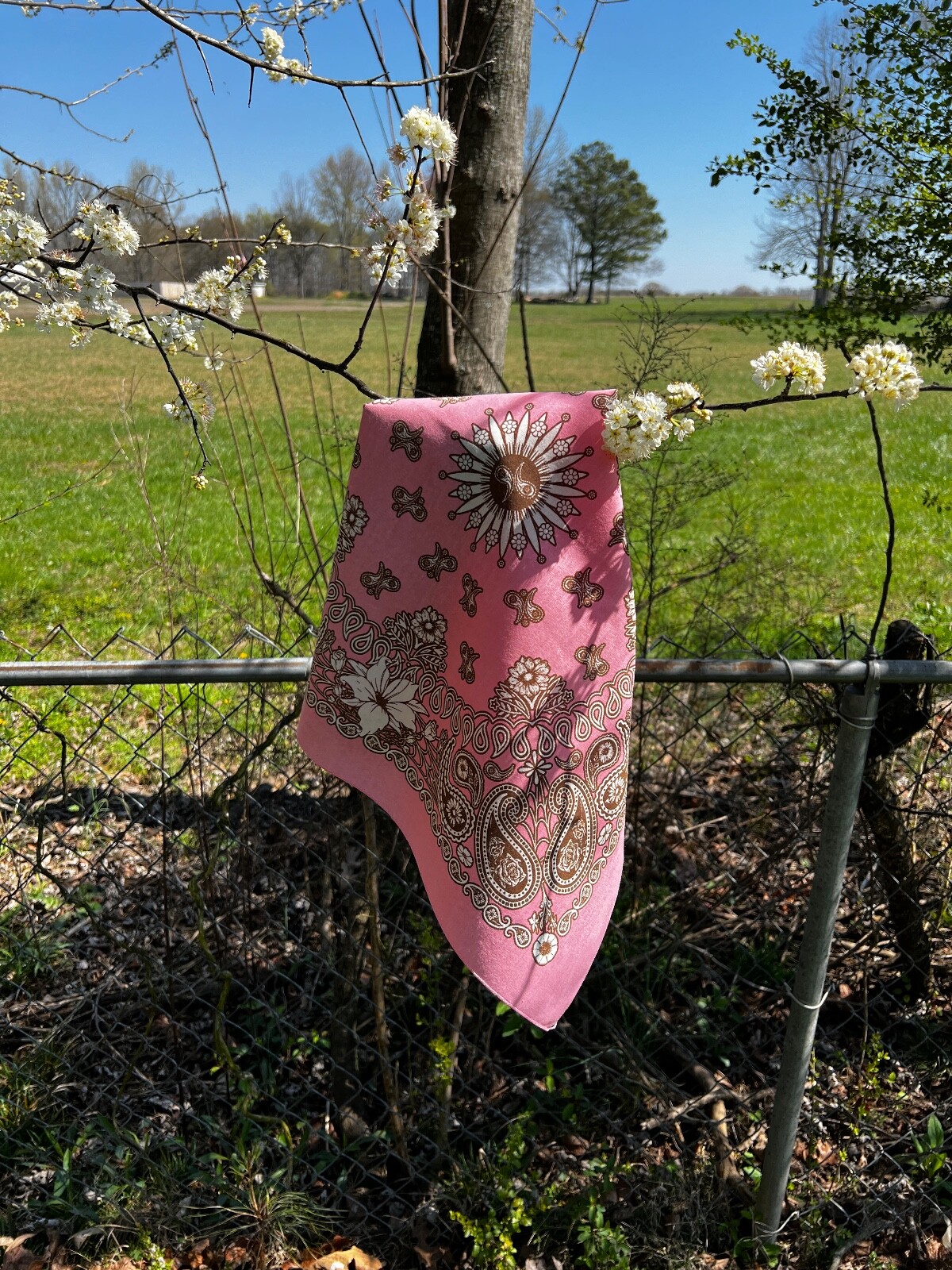 Floral Paisley 22×22 Bandanna