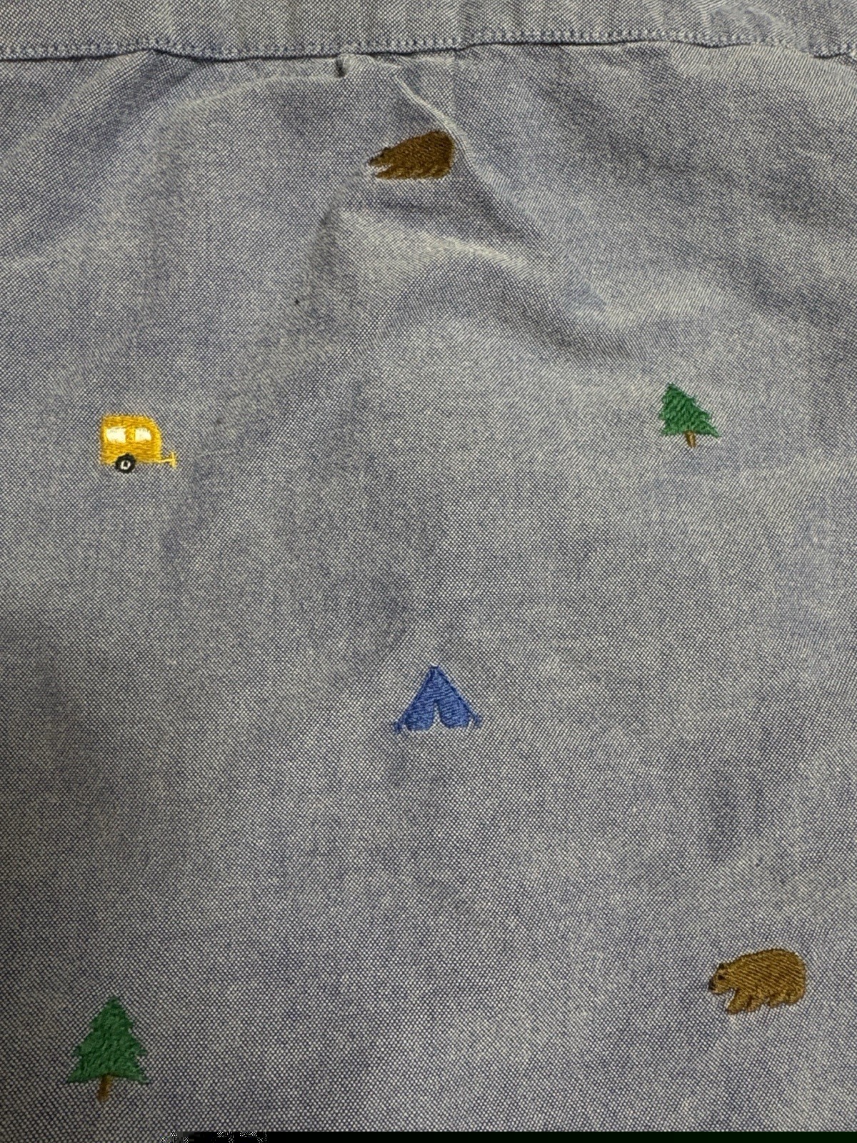 Janie and Jack Blue Chambray Adventure Embroidered Button-Down Shirt