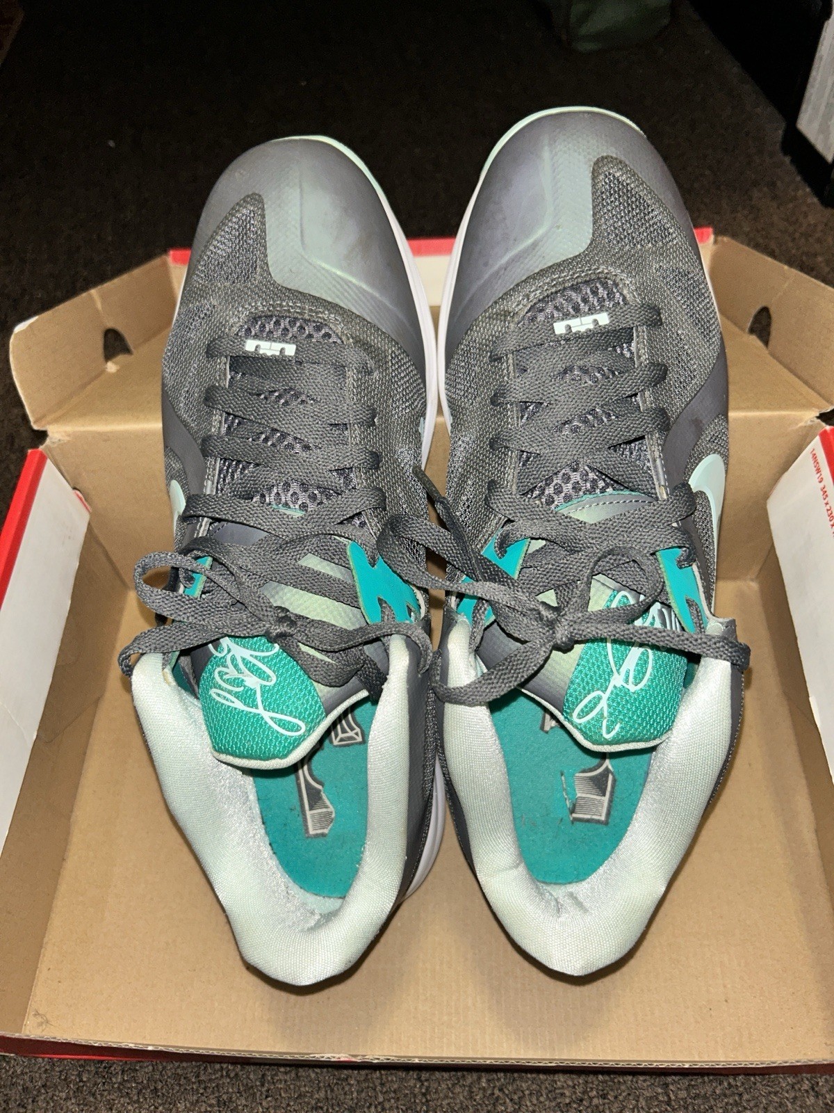 Nike LeBron 9 IX Low Easter Dark Grey/Mint/Candy/Cool Grey Men’s Size 12