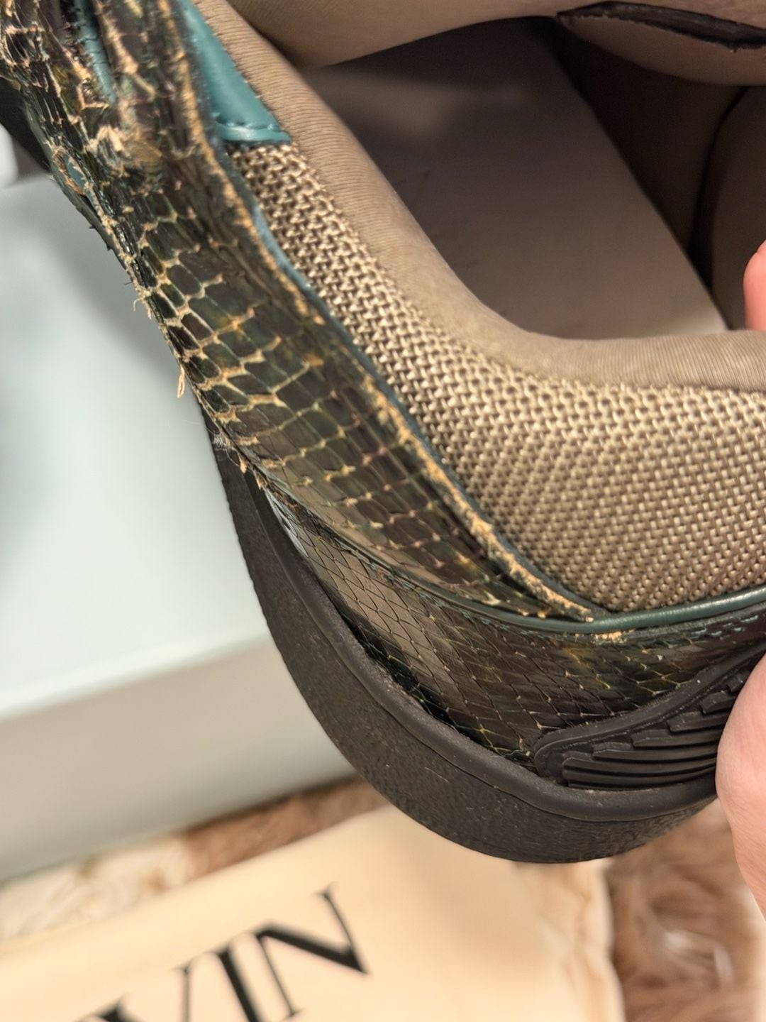 Lanvin Curb Snake-Embossed Leather Sneakers in Green and Black
